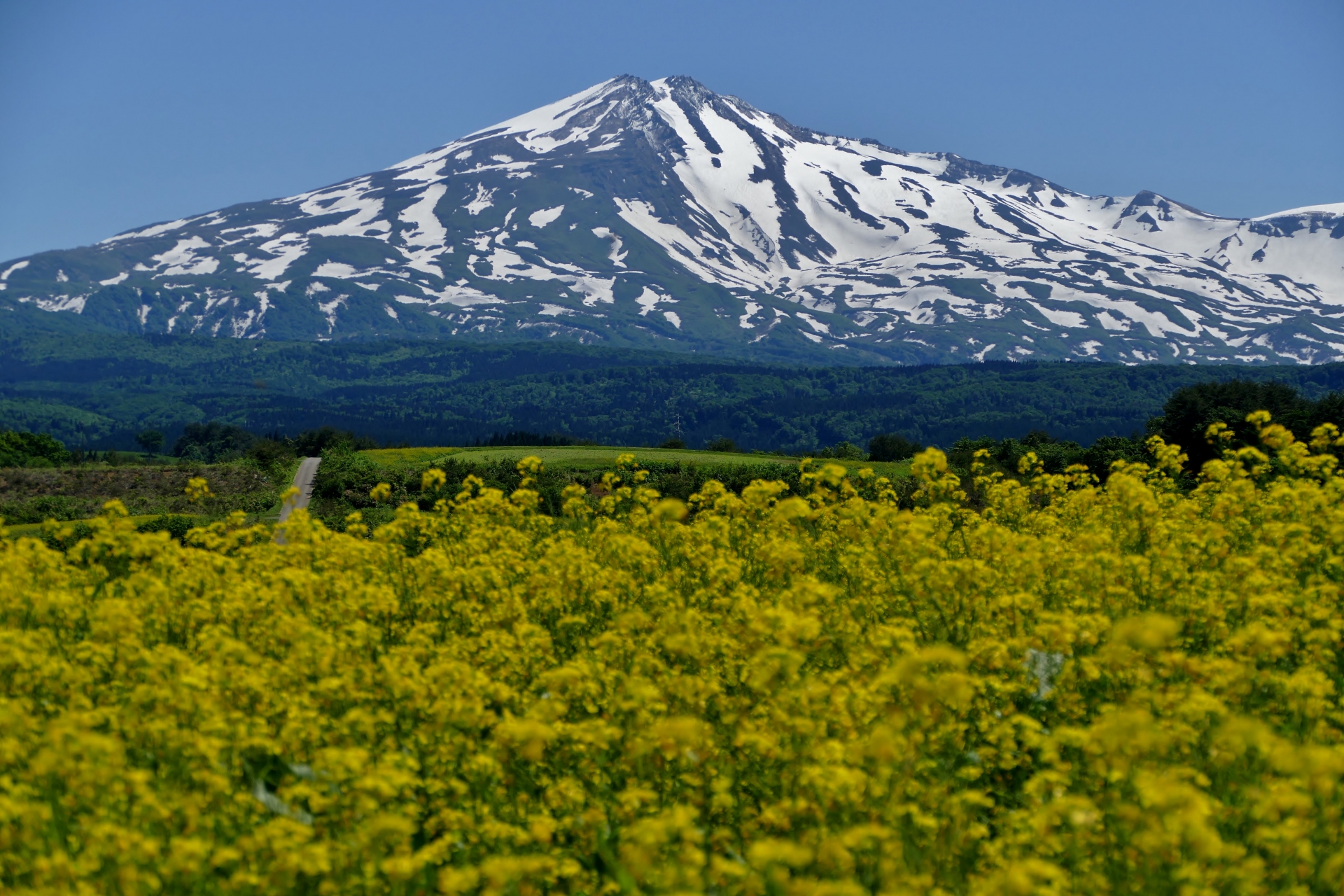 L’interview de les artisanaux